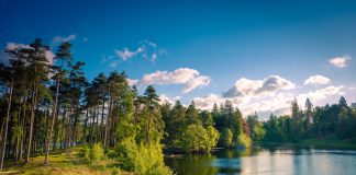 Animals That Live In Lakes And Why You Should Care A Lake