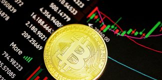 Bitcoin Price Hits Late-2020 Levels As Crypto Market Suffers Fresh Selloff bitcoin