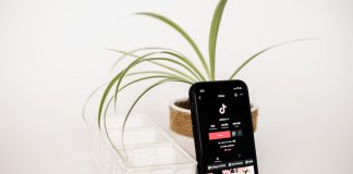 TikTok Or YouTube Which Should You Focus On As A Creator TikTok