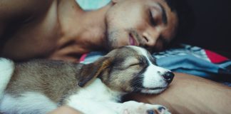 My Husband Refuses To Work sleeping