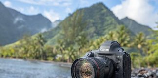 Canon Camera For Sports Photography