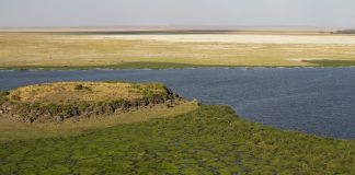 Unveiling the Intriguing History of Observation Hill, Amboseli: The Poachers’ Lookout observation hill